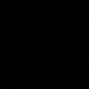 Meet your Posher, Arienne